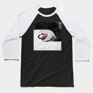 High Resolution Hilma af Klint The Swan Group Ix No 3 1913 Baseball T-Shirt